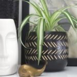 Easy ways to reduce stress and improve mental clarity.