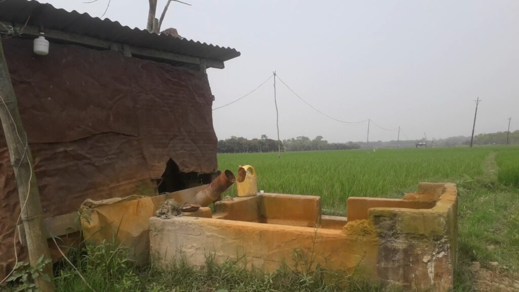 ডিজেলের অভাবে চৌচির মাগুরার ধানক্ষেত : দিশেহারা হাজারো কৃষক