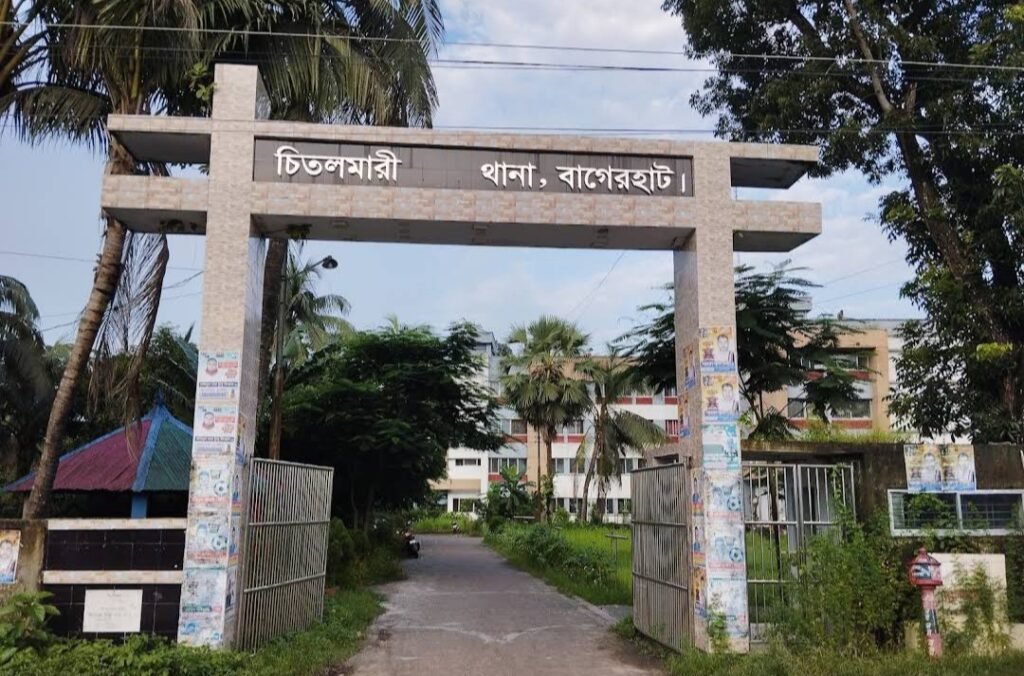 প্রাণ বাঁচাতে ছাদ থেকে খালে ঝাঁপ দিয়েও রক্ষা পেলেন না হামজা