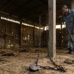 ৪ লক্ষাধিক টাকার হালের গরু নিয়ে উধাও চোর