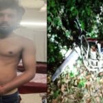 কোটচাঁদপুরে সড়কে গাছ ফেলে দুর্ধর্ষ ডাকাতির চেষ্টা : ছুরিকাঘাতে আহত ২