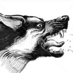 ফরিদপুরে ঈদের দিনে পাগলা কুকুরের তাণ্ডব: শিশুসহ রক্তাক্ত ১৬