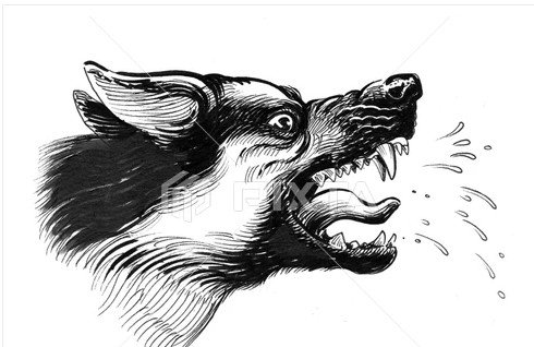 ফরিদপুরে ঈদের দিনে পাগলা কুকুরের তাণ্ডব: শিশুসহ রক্তাক্ত ১৬