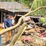 সাতক্ষীরায় কালবৈশাখীর মরণ ছোবল : লণ্ডভণ্ড ঘরবাড়ি