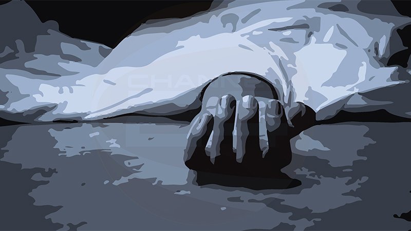 পুত্রের হাতে পিতা খুন!