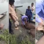 জেলের জালে উঠে এল দুই বস্তা সরকারি ওষুধ