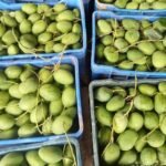 বেলতলা বাজারে আগাম গুটি আমের হাকডাক