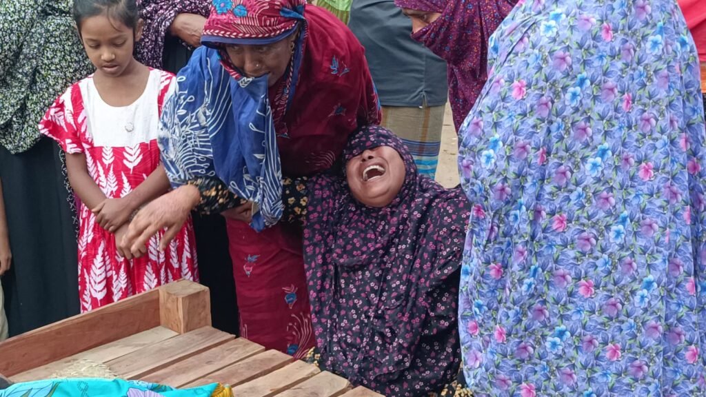 বিদ্যুস্পৃষ্টে প্রাণ গেল মামা-ভাগিনার