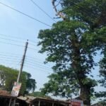 কালীগঞ্জে ‘মরণফাঁদ’ হয়ে ঝুলে আছে শতবর্ষী গাছের ডাল