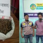 সাগর এবার ১কেজি গাঁজাসহ পুলিশের খাঁচায়