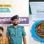 গাঁজাসহ মাদক ব্যবসায়ী বাবু গ্রেপ্তার