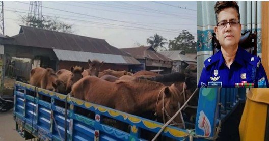 প্রশংসার ঘোড়া এখন গলার কাঁটা : থানার ওসি প্রত্যাহার