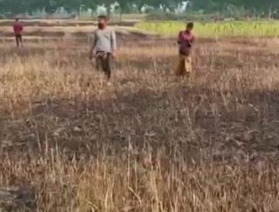 এক নিমিষেই ছাই ৭০ বিঘা জমির গম!