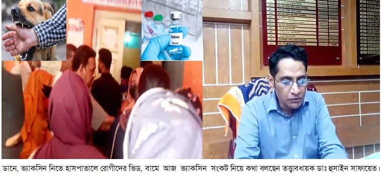 যশোরে জলাতঙ্কের টিকার তীব্র সংকট : চরম দুর্ভোগে অসহায় রোগীরা   